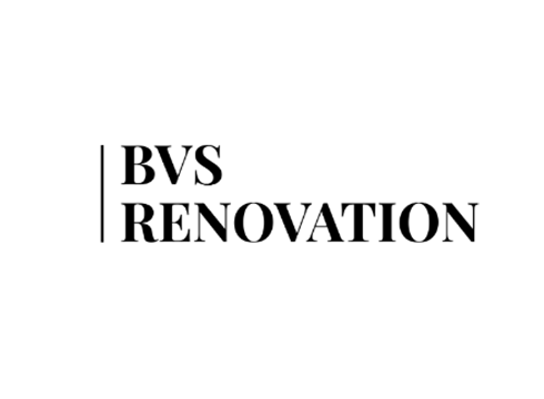 Logo BVS 1