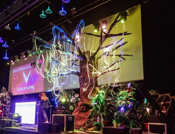 Gala ISAE Agence evenementielle Toulouse 2