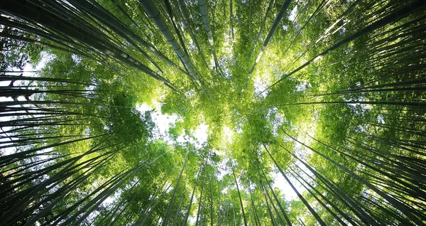 RSE Agence Evenementielle Toulouse 0